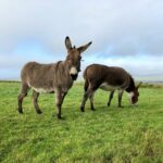 Christian hess araya apvhzcnlu7s unsplash